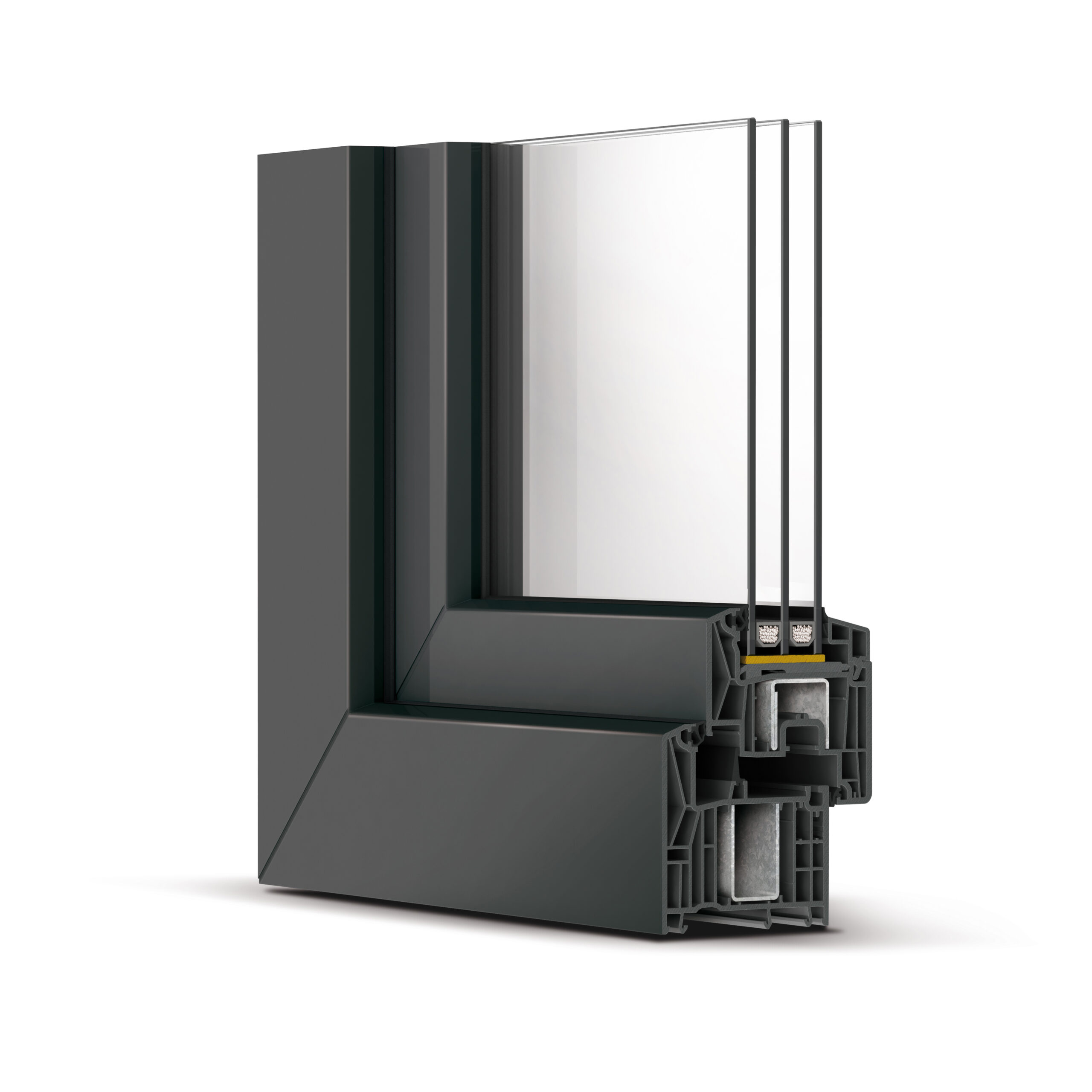 Portfolio Taxonomy Image